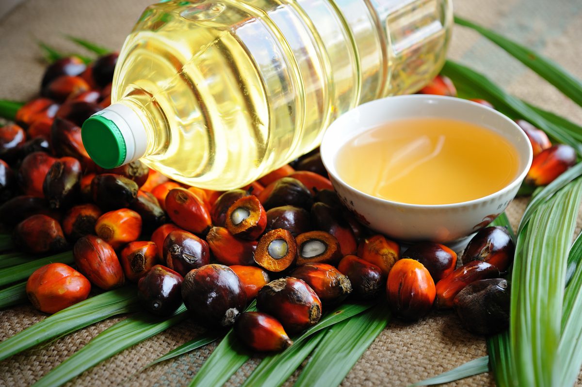 Produk minyak kelapa sawit dan buah sawit