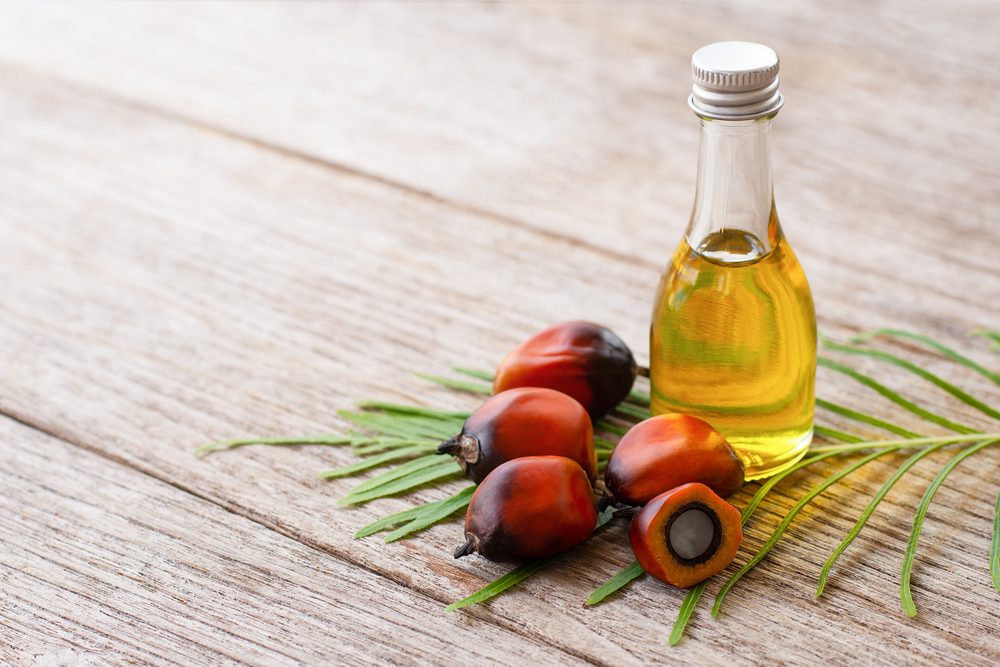 Botol minyak sawit dengan buah kelapa sawit